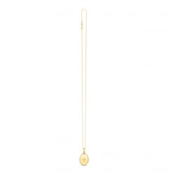 14k Yellow Gold Oval North Star Locket Necklace
